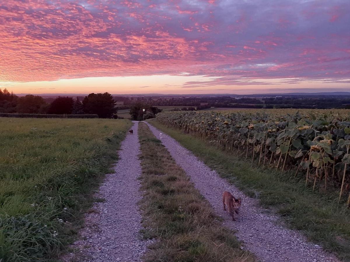 B&B Family Basement Apartment, Breakfast, Free Parking, 5Km From Tulln Chorherrn エクステリア 写真