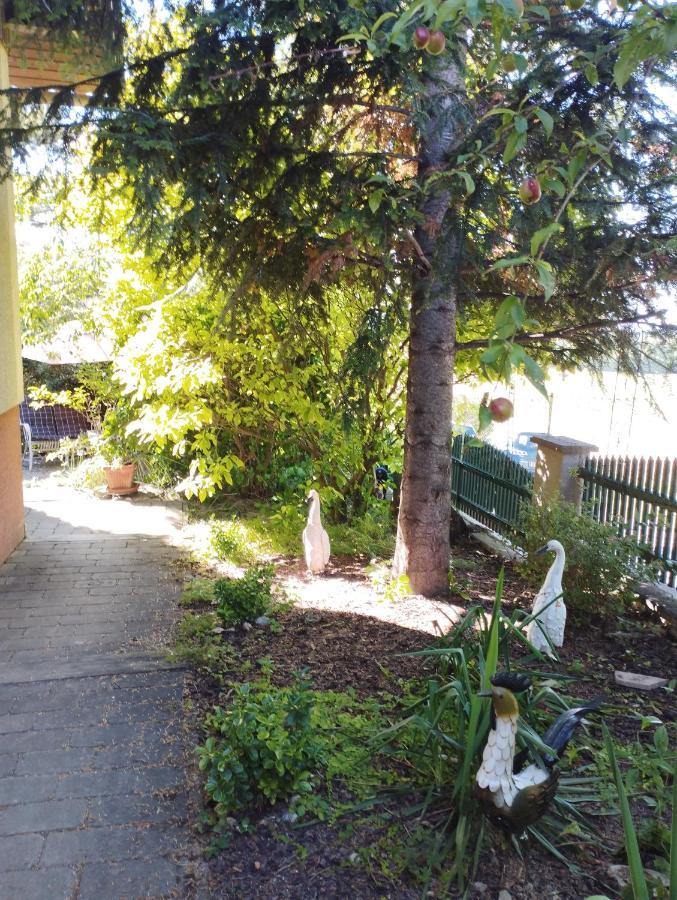 B&B Family Basement Apartment, Breakfast, Free Parking, 5Km From Tulln Chorherrn エクステリア 写真