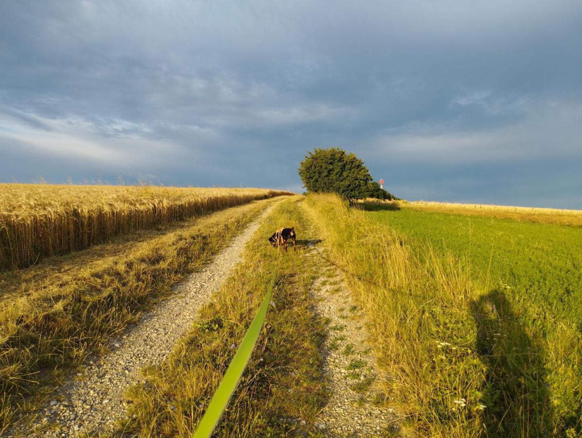 B&B Family Basement Apartment, Breakfast, Free Parking, 5Km From Tulln Chorherrn エクステリア 写真